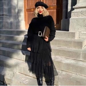 ZARA Swiss Dot Tule Skirt